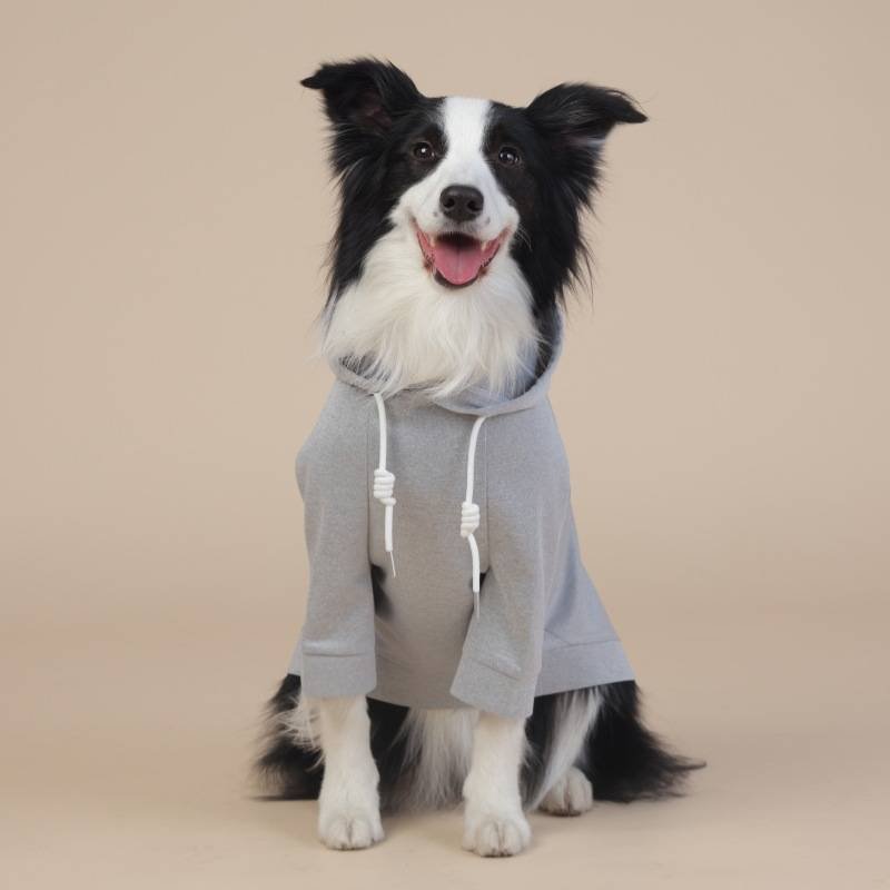 Grey Classic Dog Sweatshirt with Hood & Drawstrings - For Large Dogs (Size : 7XL)