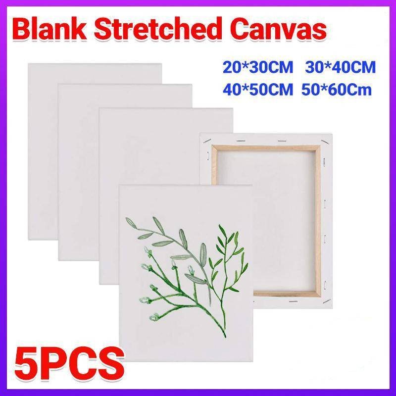 5x Artist Blank Stretched Canvas Canvases Art Large White Range Oil Acrylic Wood - 20*30CM