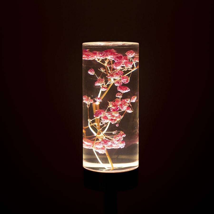 Gypsophila Paniculata Eternal Flower Acrylic Table Lamp - Color-Changing LED, USB Rechargeable, Touch Control