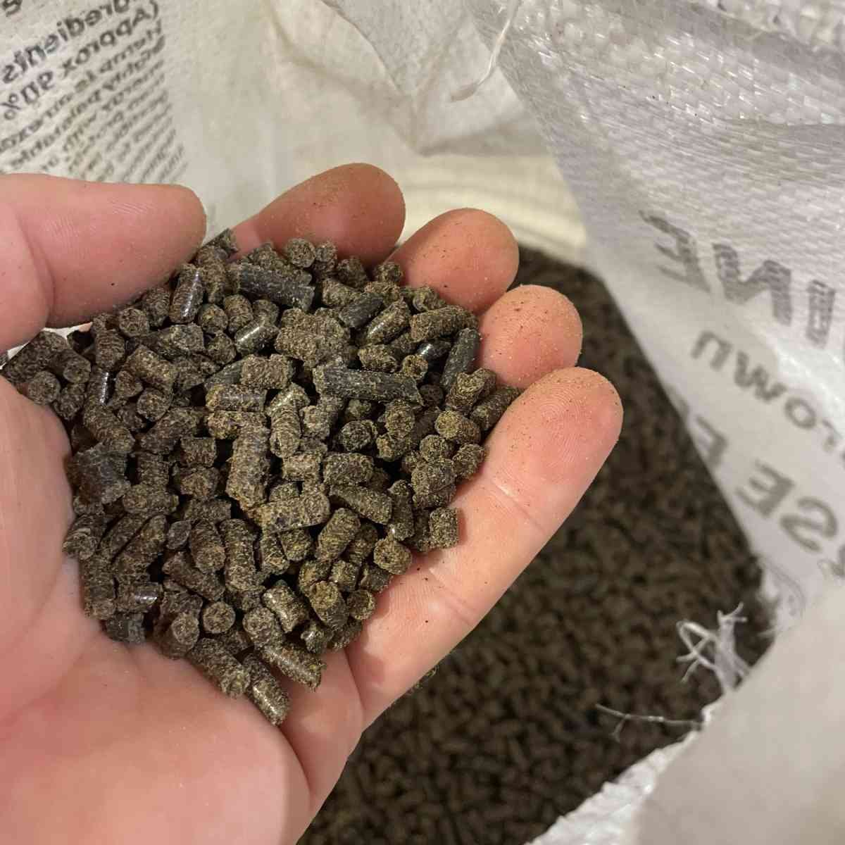 Vital Equine | Hemp Horse Feed Equine Fibre & Protein Pellets - 4kg 