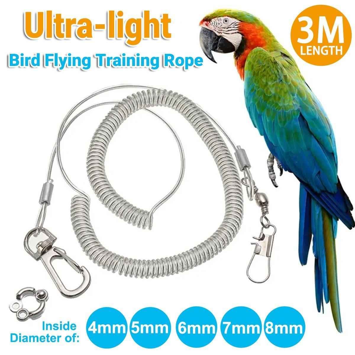 Parrot Leg Ring Anti Slip Bird Anklet Elastic Rope with Alloy Fasteners Supplies - 4mm