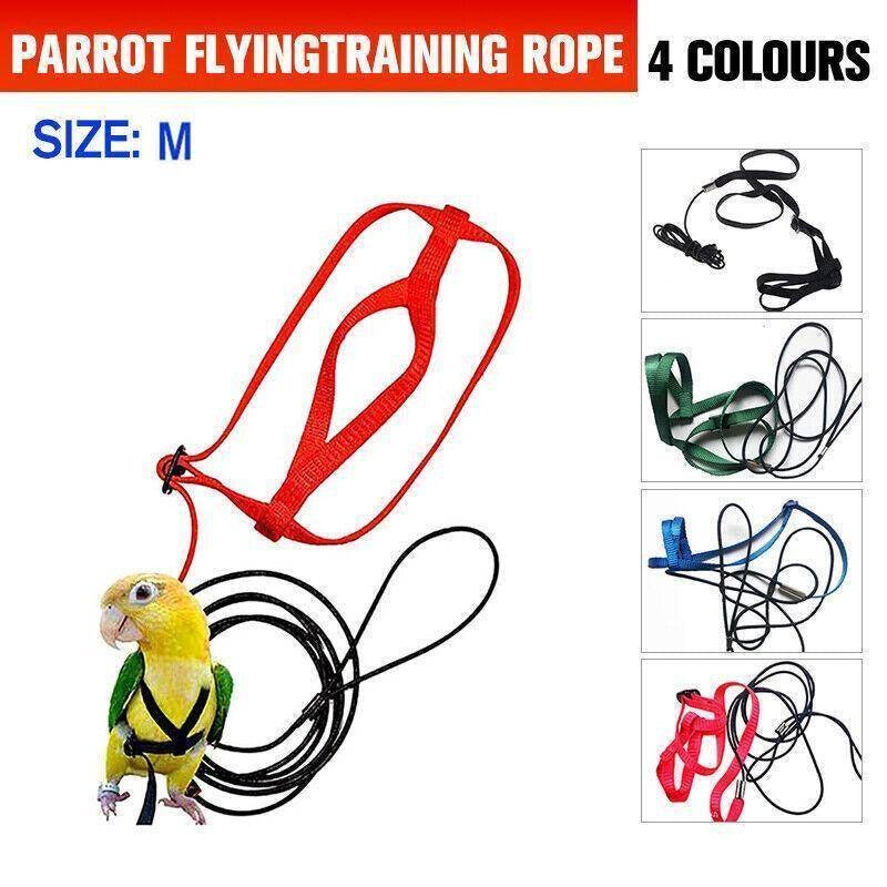 M Pet Parrot Bird Harness Lead Leash Flying Training Rope Cockatiel Outdoor - Blue