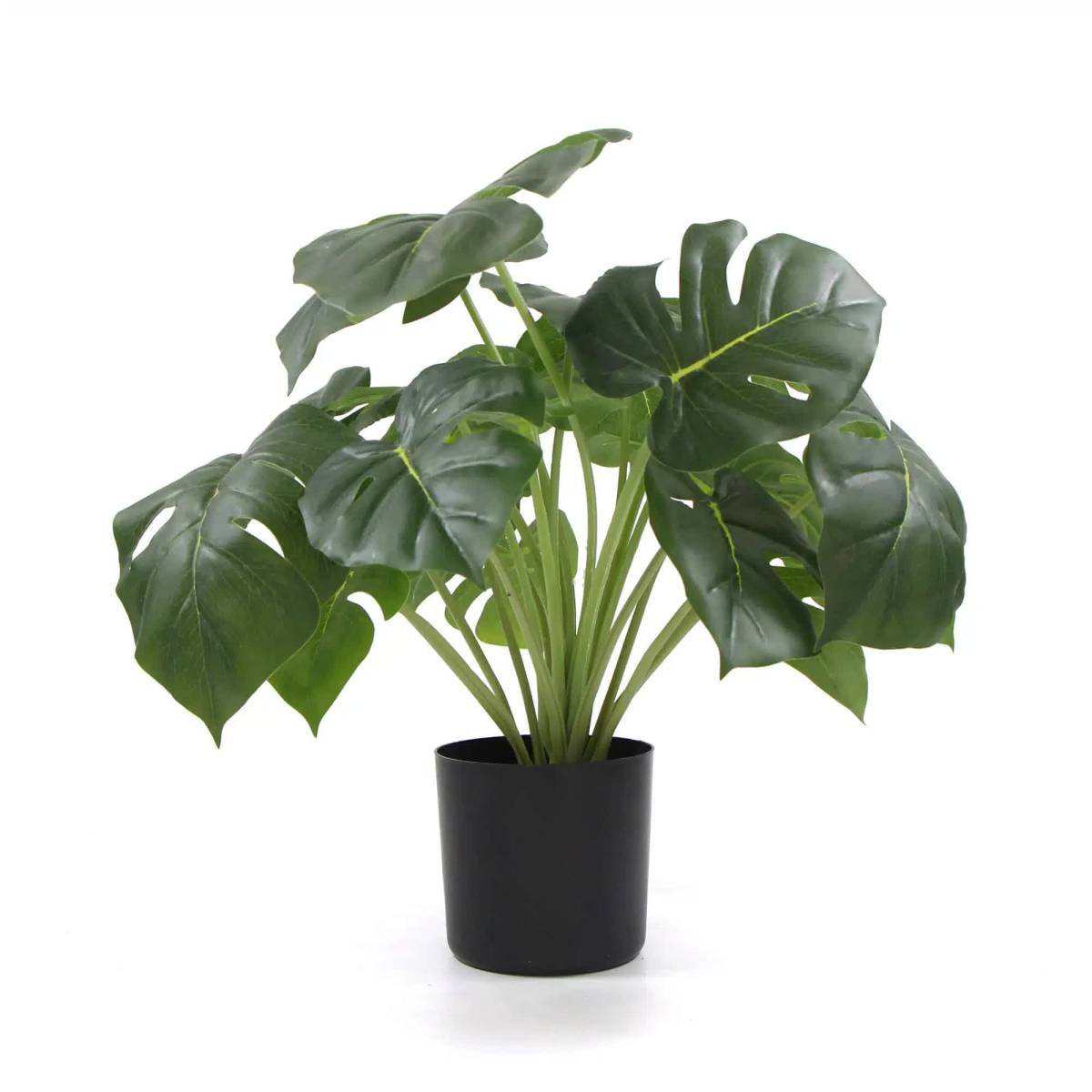 Dense Potted Artificial Monstera Deliciosa Plant With Real Touch Leaves 50cm