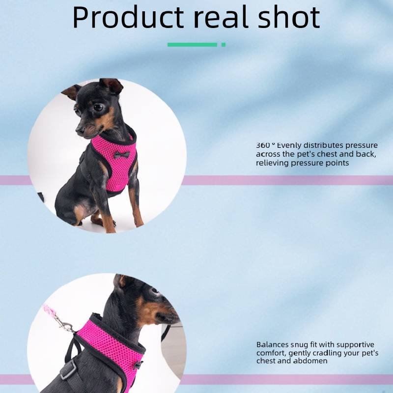 2-Pcs Blue Adjustable Pet Harness with Leash – Breathable Mesh Design for Small Dogs, Cats, Chickens, Ducks & More | Anti-Escape, 360° Support, Lightweight & Comfortable in Australia(Size:L)