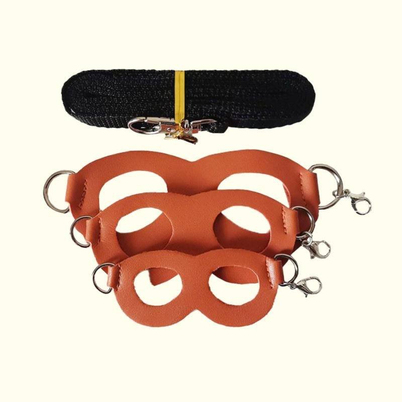 2-Pack Orange Small Mammal Harness Set – 6 Pcs (S/M/L ×2) + 2×1.5m Leashes for Secure Outdoor Handling