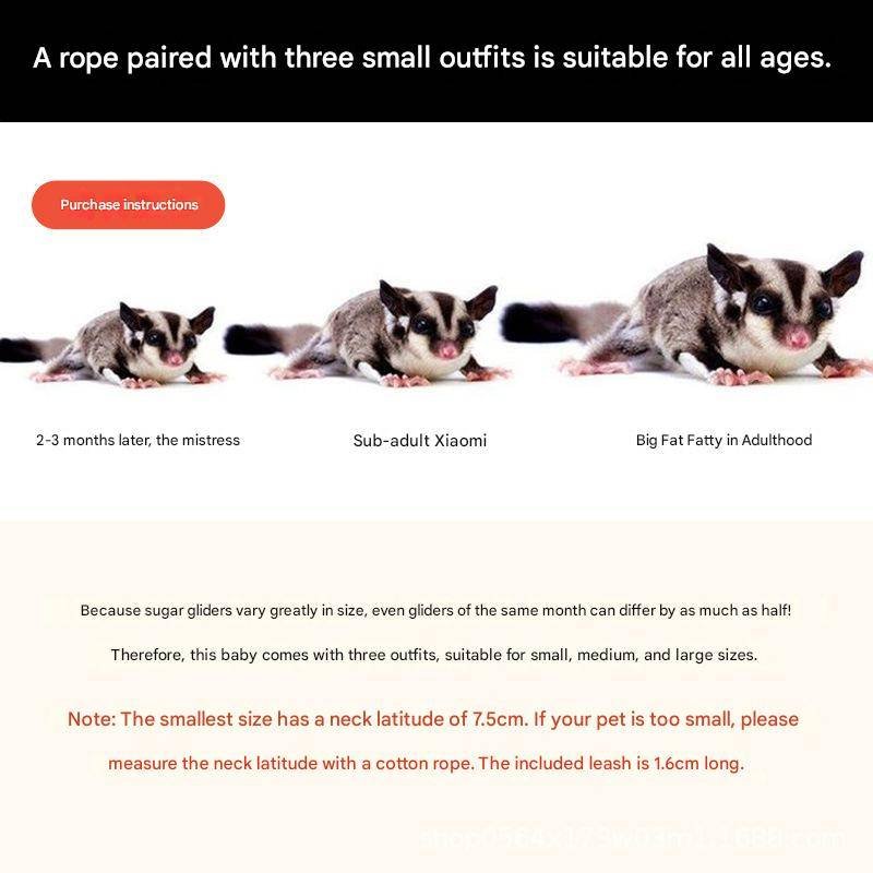 2-Pack Black Small Mammal Harness Set – 6 Pcs (S/M/L ×2) + 2×1.5m Leashes for Secure Outdoor Handling