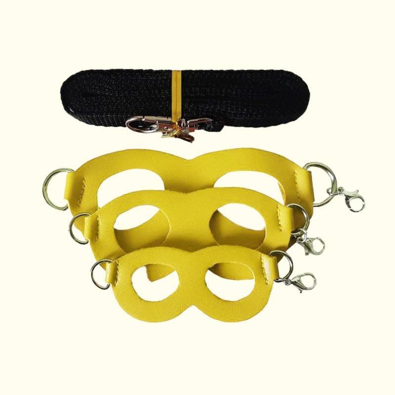 2-Pack yellow Small Mammal Harness Set – 6 Pcs (S/M/L ×2) + 2×1.5m Leashes for Secure Outdoor Handling