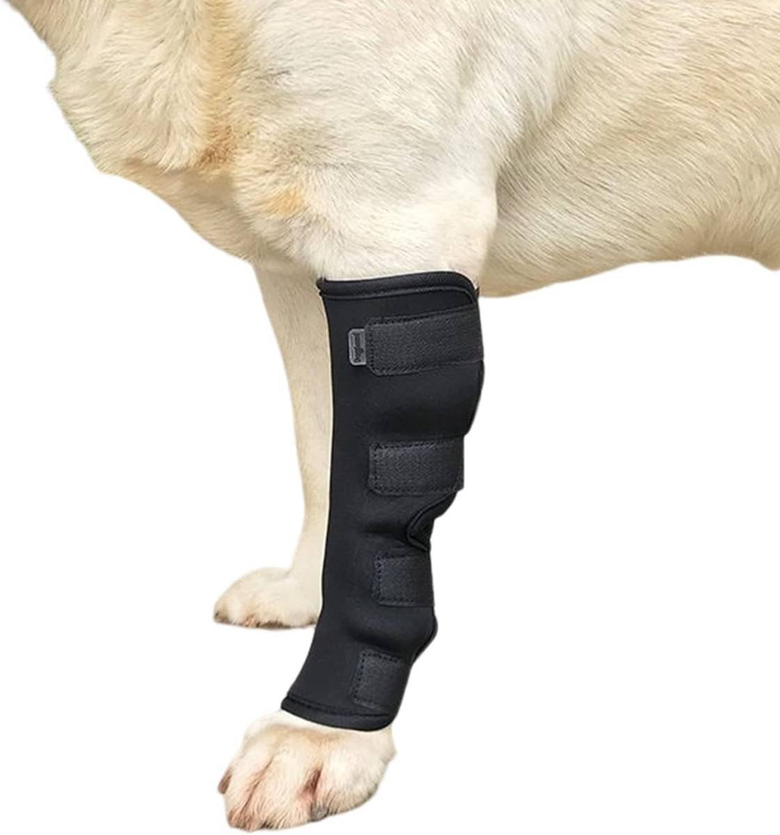 1Pc Canine Dog Hock Joint Support Brace, Adjustable Pet Dog Leg Braces Compression Wrap for Recovery Dog Braces Protect Legs Wounds Injuries for Pain Relief