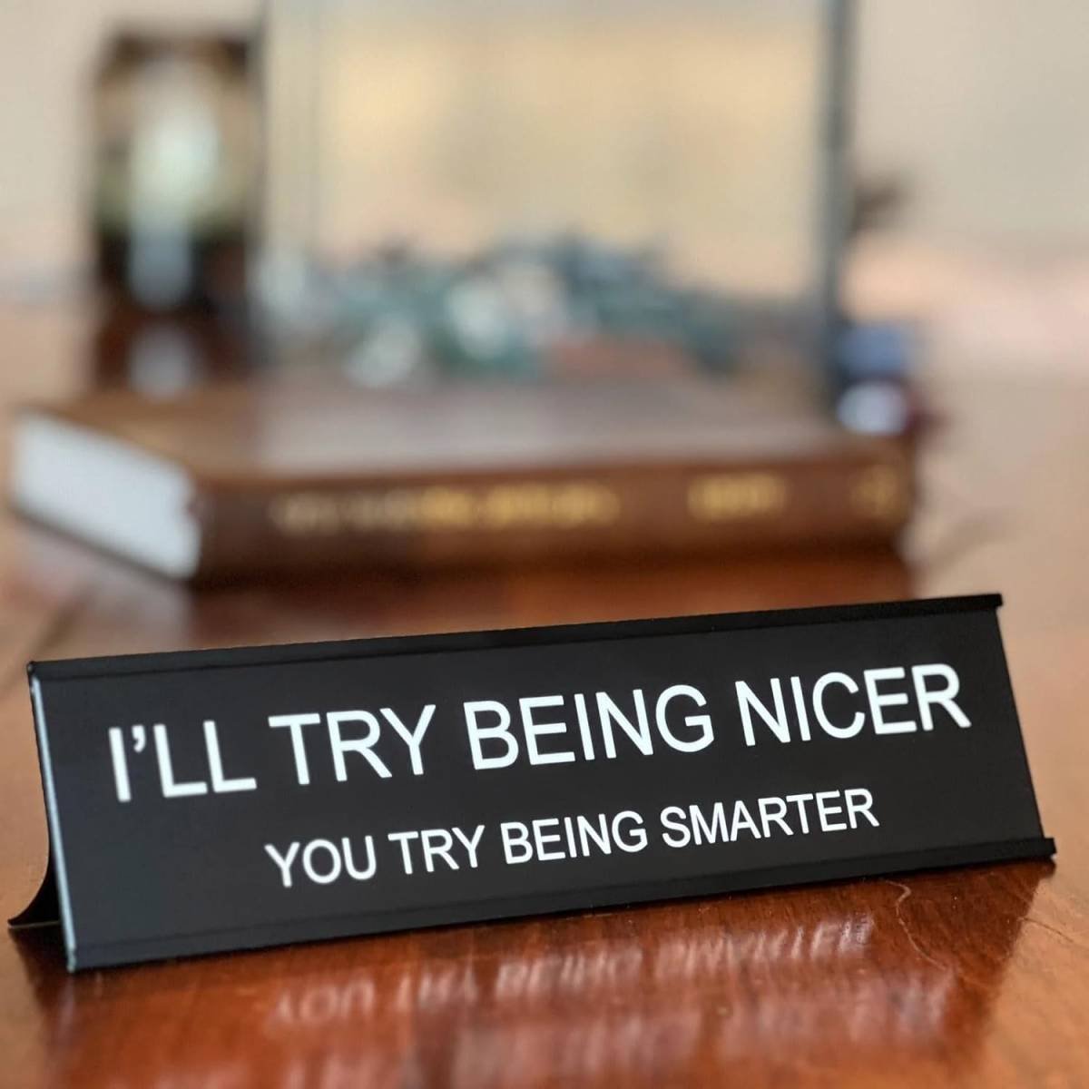 I'll Try Being Nicer Funny Office Desk Sign, Sarcastic Snarky Gift Prank Humor Naughty Sign for Coworker Colleague Intern Mentor Leader Manager Boss Staff Teacher