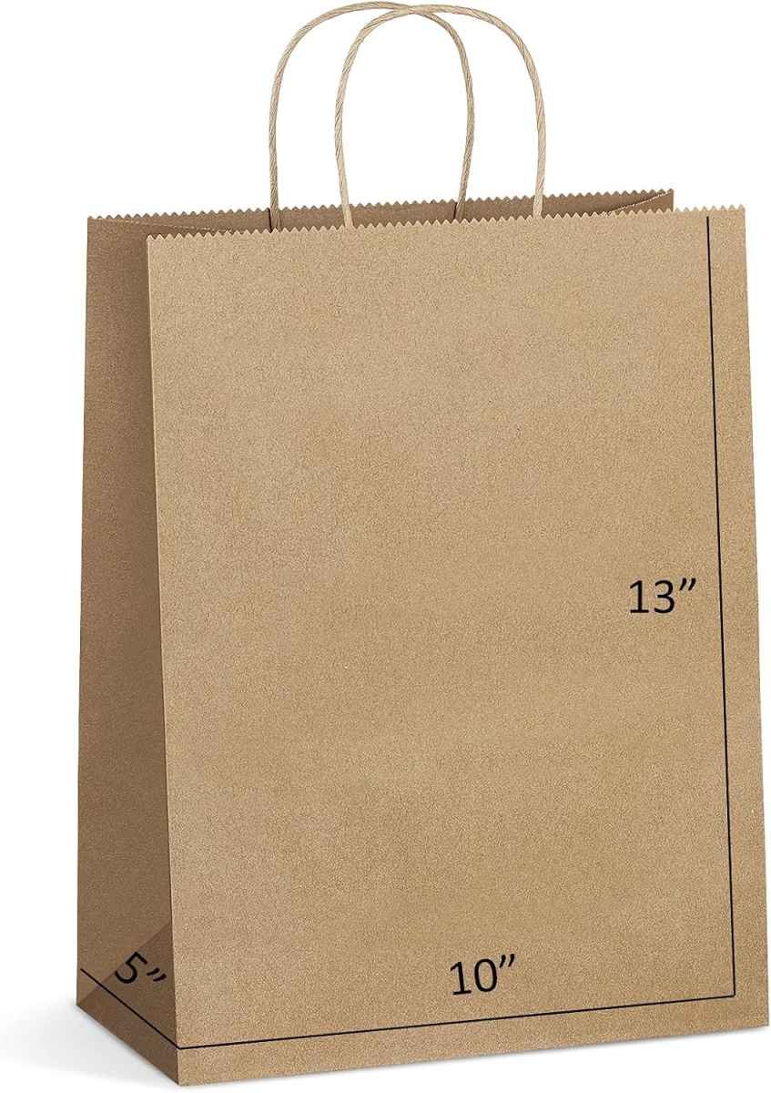 Eupako Kraft Shopping Bags 10x5x13 - 100 PCS Brown Paper With Handles, Gift Bulk, Party Favor, Merchandise, Retail