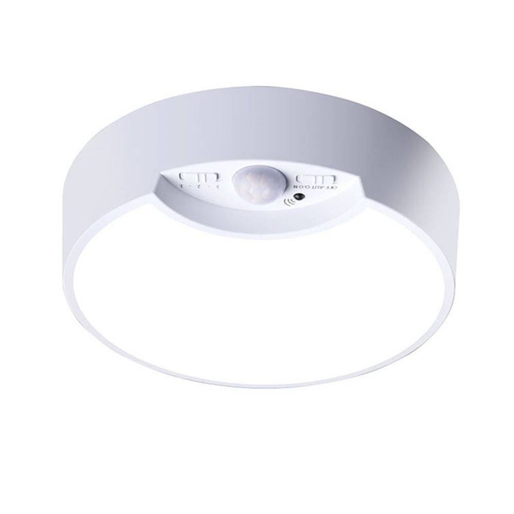 Hard-Wired Motion Sensor Ceiling Lights,  Flush Mount Motion LED Ceiling Lights,  Indoor Ceiling Light for Closet Doorway Stairway Hallway,  Not Battery OperatedRechargeable induction light+remote control