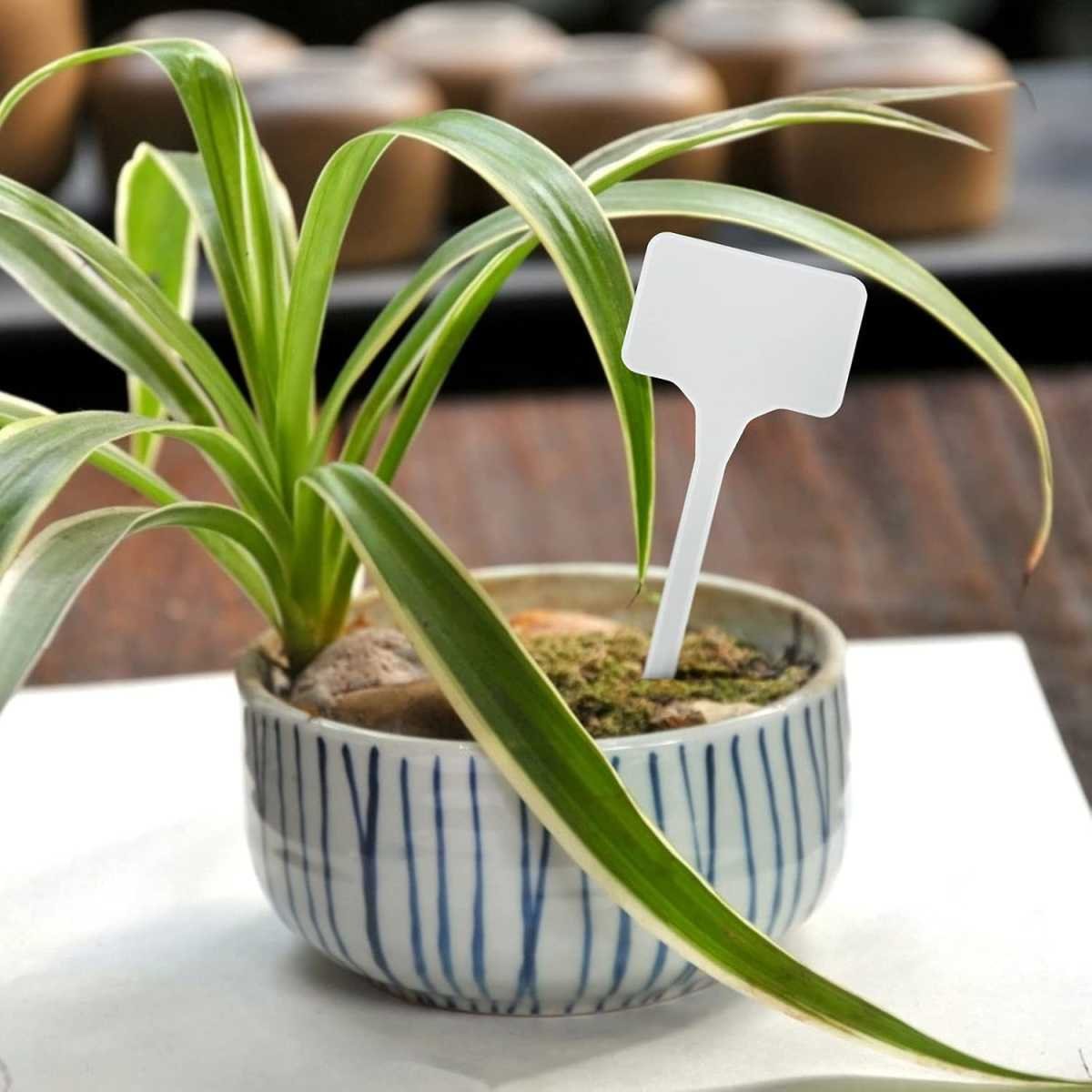 50 Pcs Thick Plastic Plant T-Type Tags 6" Large Nursery Garden Labels